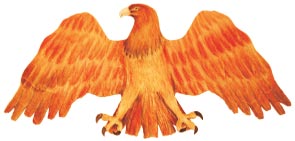 Adler angemalt