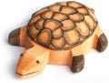 Bild vom Artikel Schildkröte