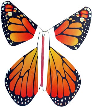Bild vom Artikel Flatter-Schmetterling Monarch
