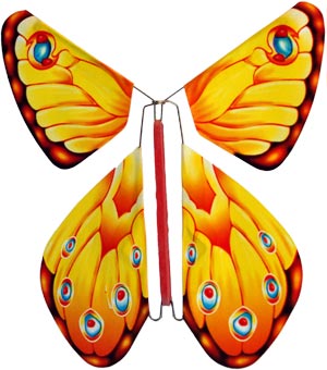 Bild vom Artikel Flatter-Schmetterling Augen